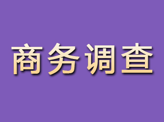 龙江商务调查